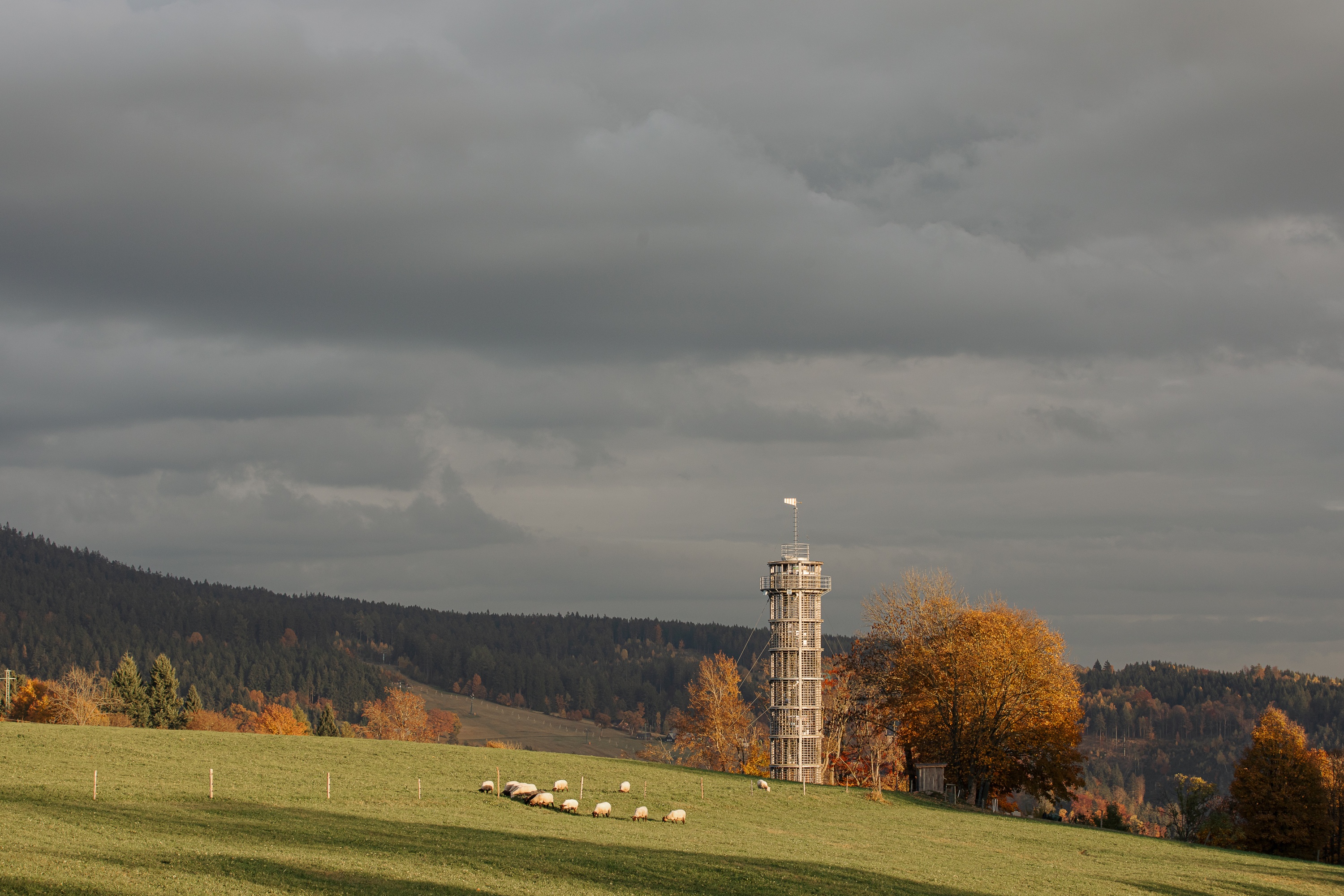 Jizerské hory - 697515e7bb507