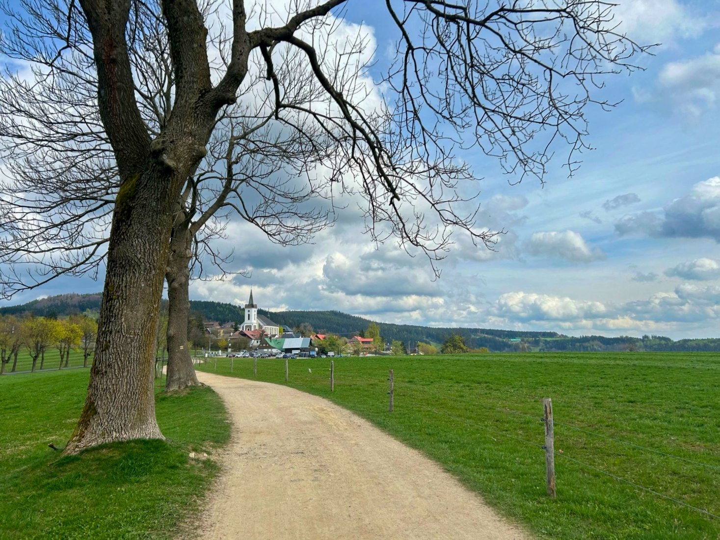 Jizerské hory v zimě